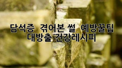 담석증? 🥺 겪어본 썰 & 예방꿀팁 대방출! #건강레시피